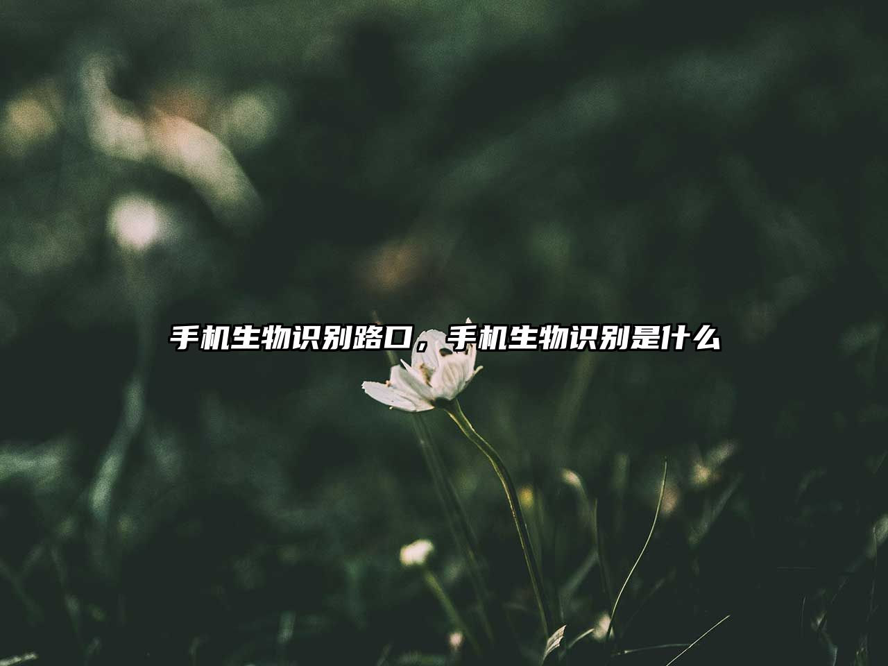手機生物識別路口，手機生物識別是什么