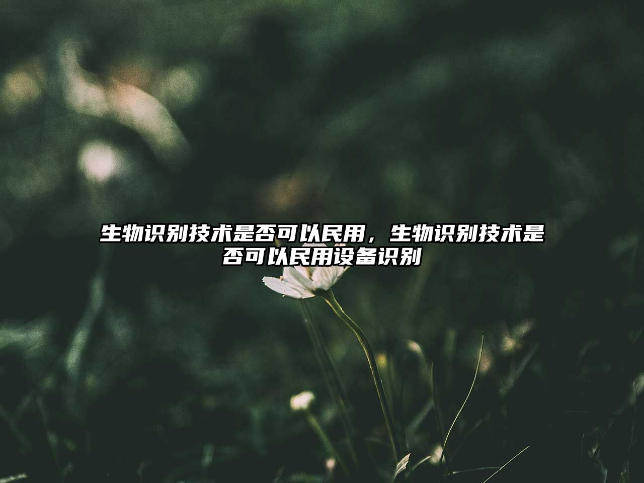 生物識別技術(shù)是否可以民用，生物識別技術(shù)是否可以民用設(shè)備識別