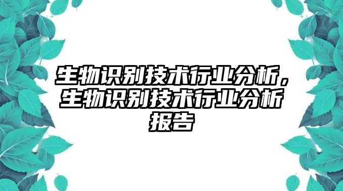 生物識別技術(shù)行業(yè)分析，生物識別技術(shù)行業(yè)分析報告