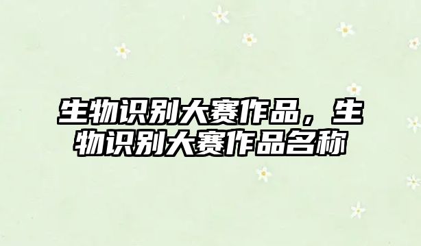 生物識別大賽作品，生物識別大賽作品名稱