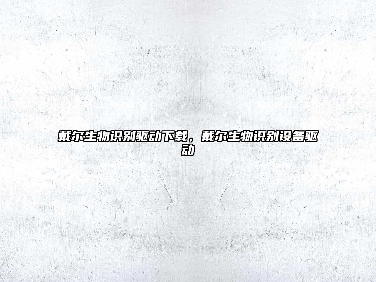 戴爾生物識(shí)別驅(qū)動(dòng)下載，戴爾生物識(shí)別設(shè)備驅(qū)動(dòng)
