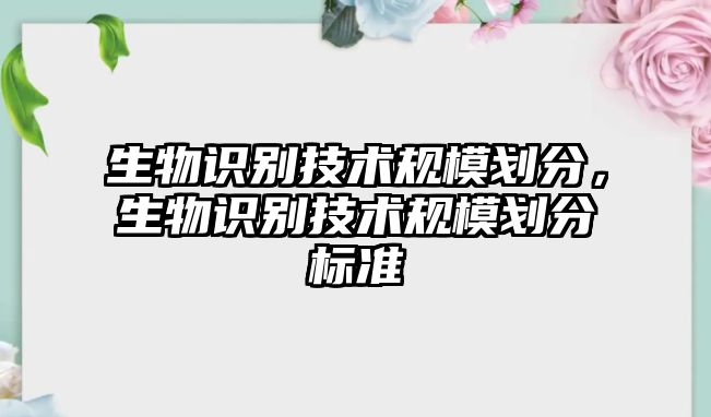 生物識別技術(shù)規(guī)模劃分，生物識別技術(shù)規(guī)模劃分標準
