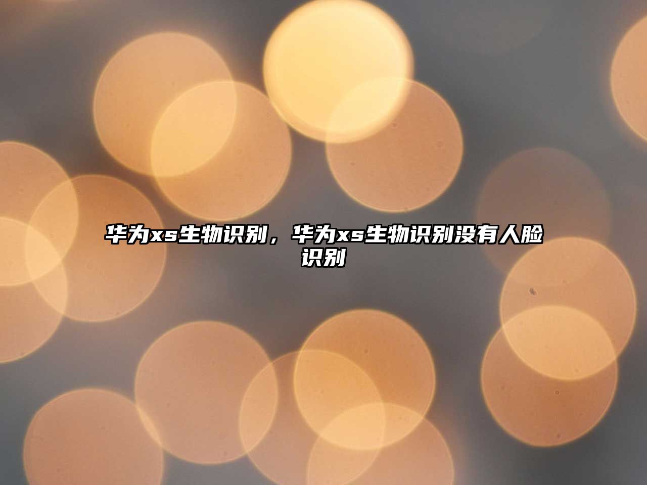 華為xs生物識別，華為xs生物識別沒有人臉識別