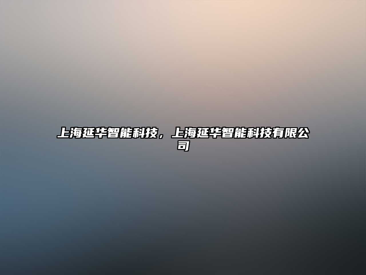 上海延華智能科技，上海延華智能科技有限公司