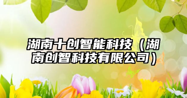 湖南十創(chuàng)智能科技(湖南創(chuàng)智科技有限公司)