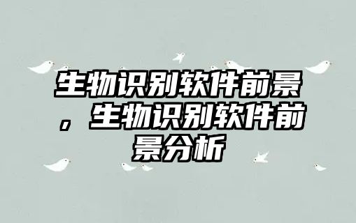 生物識別軟件前景，生物識別軟件前景分析