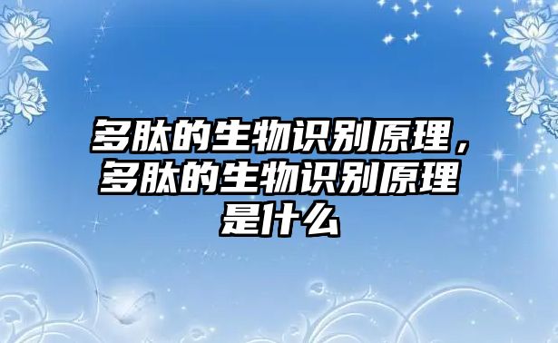 多肽的生物識別原理，多肽的生物識別原理是什么