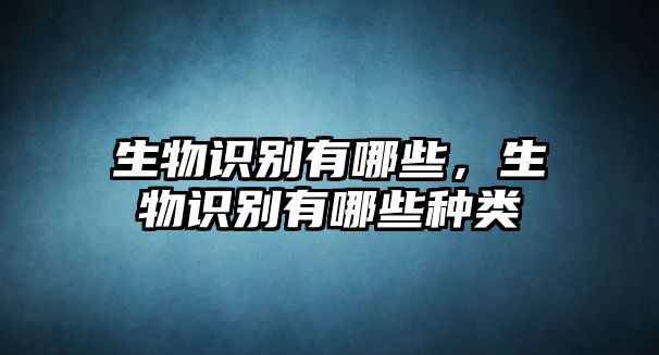 生物識別有哪些，生物識別有哪些種類