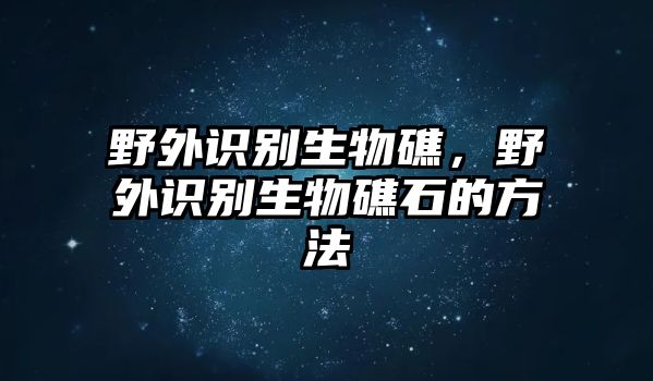 野外識別生物礁，野外識別生物礁石的方法