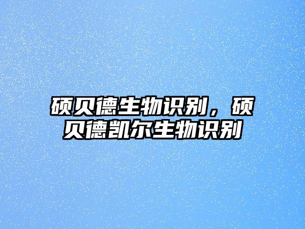 碩貝德生物識別，碩貝德凱爾生物識別