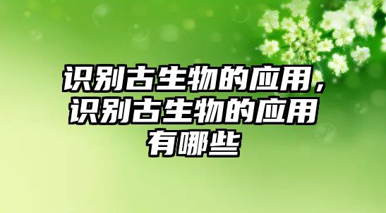 識(shí)別古生物的應(yīng)用，識(shí)別古生物的應(yīng)用有哪些