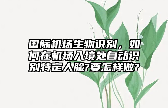國際機(jī)場生物識(shí)別，如何在機(jī)場入境處自動(dòng)識(shí)別特定人臉?要怎樣做?