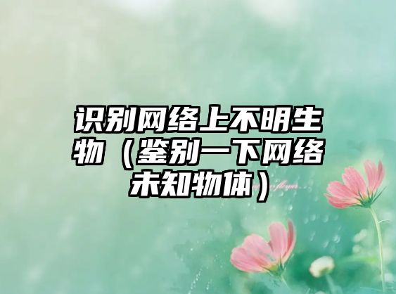 識(shí)別網(wǎng)絡(luò)上不明生物（鑒別一下網(wǎng)絡(luò)未知物體）