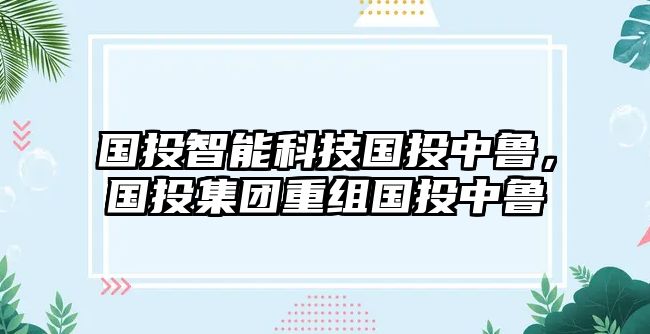 國投智能科技國投中魯，國投集團重組國投中魯