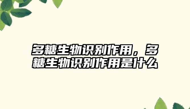 多糖生物識(shí)別作用，多糖生物識(shí)別作用是什么