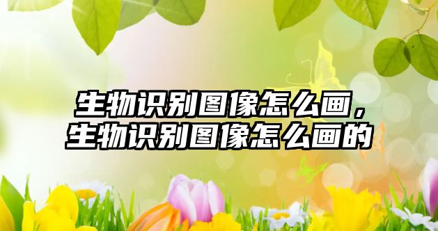 生物識別圖像怎么畫，生物識別圖像怎么畫的