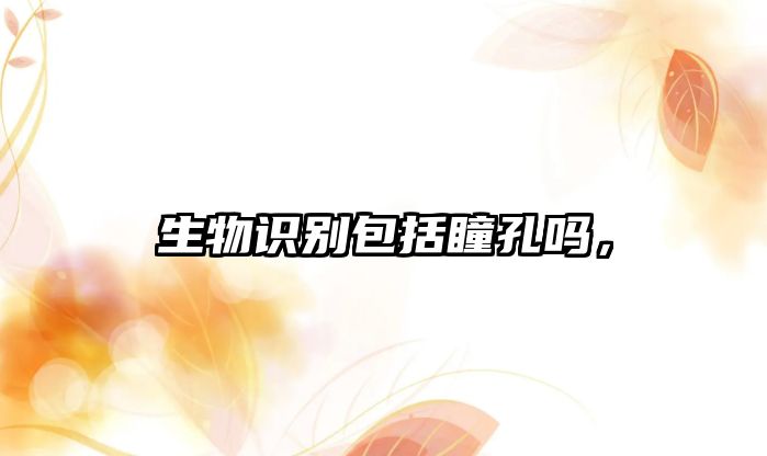 生物識別包括瞳孔嗎，