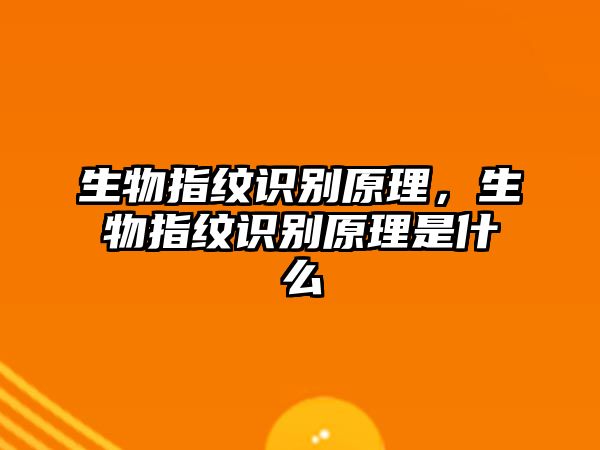 生物指紋識別原理，生物指紋識別原理是什么