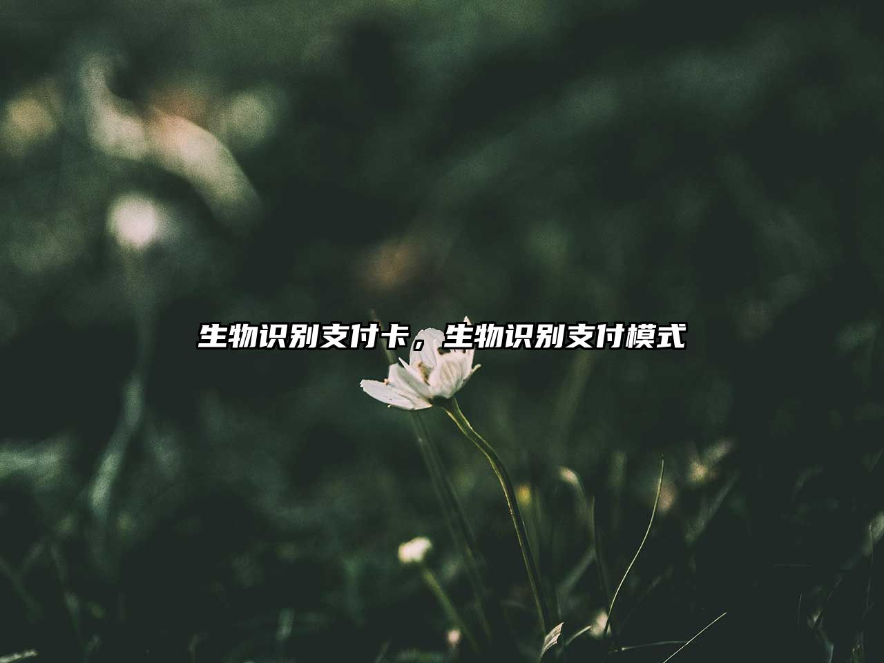 生物識別支付卡，生物識別支付模式