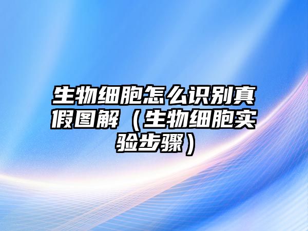 生物細胞怎么識別真假圖解（生物細胞實驗步驟）