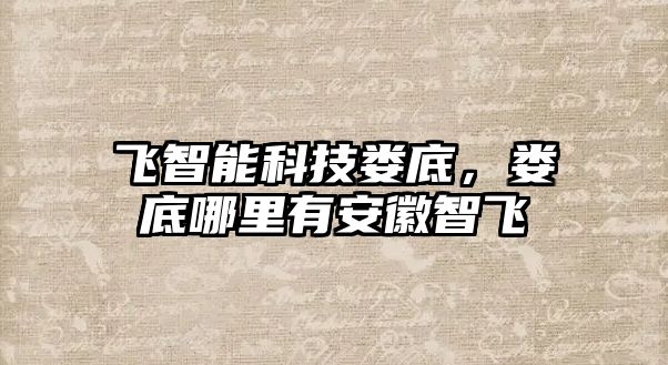 飛智能科技婁底，婁底哪里有安徽智飛