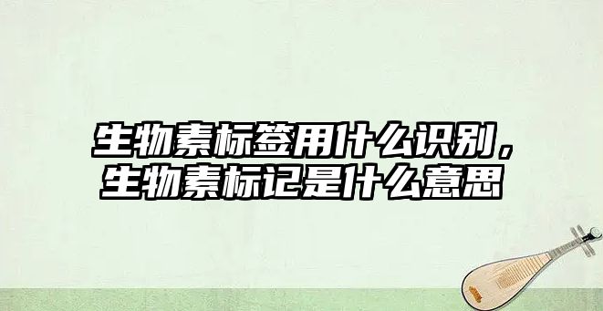 生物素標(biāo)簽用什么識(shí)別，生物素標(biāo)記是什么意思