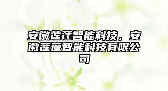 安徽蓮蓬智能科技，安徽蓮蓬智能科技有限公司