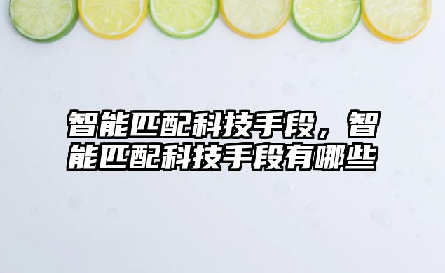 智能匹配科技手段，智能匹配科技手段有哪些