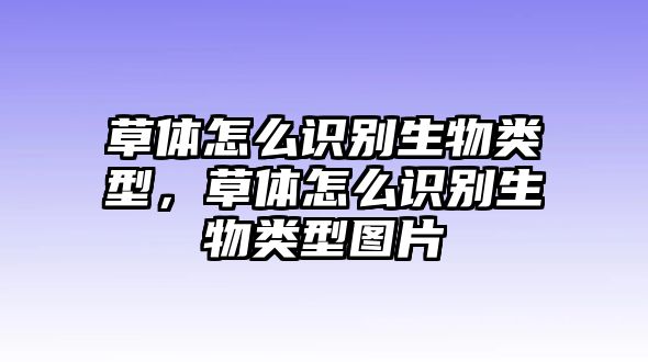草體怎么識別生物類型，草體怎么識別生物類型圖片