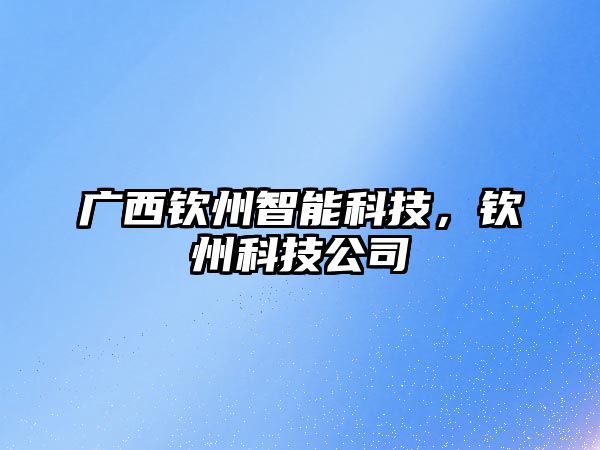 廣西欽州智能科技，欽州科技公司