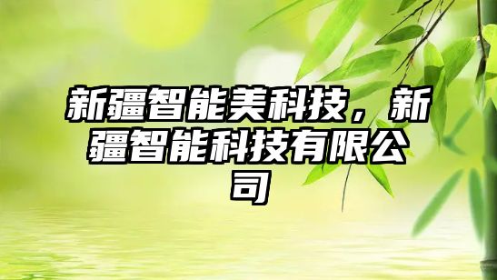 新疆智能美科技，新疆智能科技有限公司