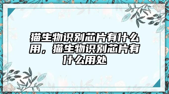 貓生物識(shí)別芯片有什么用，貓生物識(shí)別芯片有什么用處