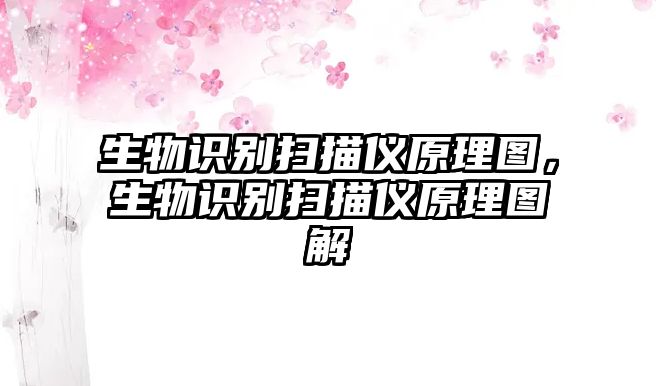 生物識別掃描儀原理圖,生物識別掃描儀原理圖解