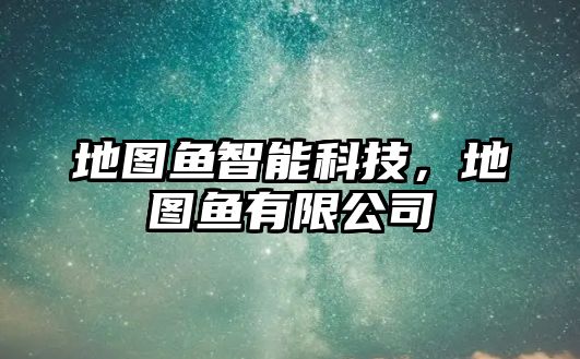 地圖魚智能科技，地圖魚有限公司