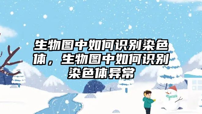 生物圖中如何識(shí)別染色體，生物圖中如何識(shí)別染色體異常