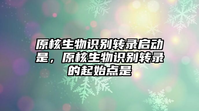 原核生物識別轉(zhuǎn)錄啟動是，原核生物識別轉(zhuǎn)錄的起始點(diǎn)是